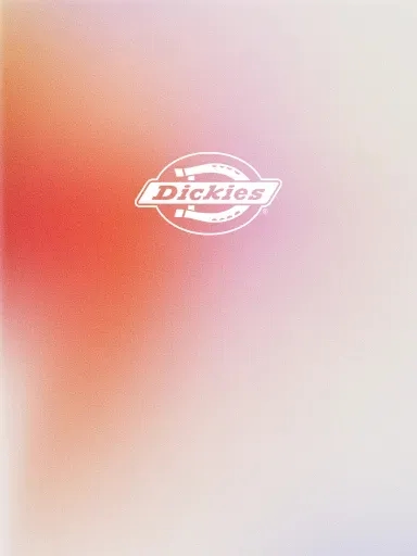 Marque Streetwear Tendance Dickies