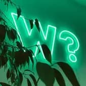 Image de logo Whentocop