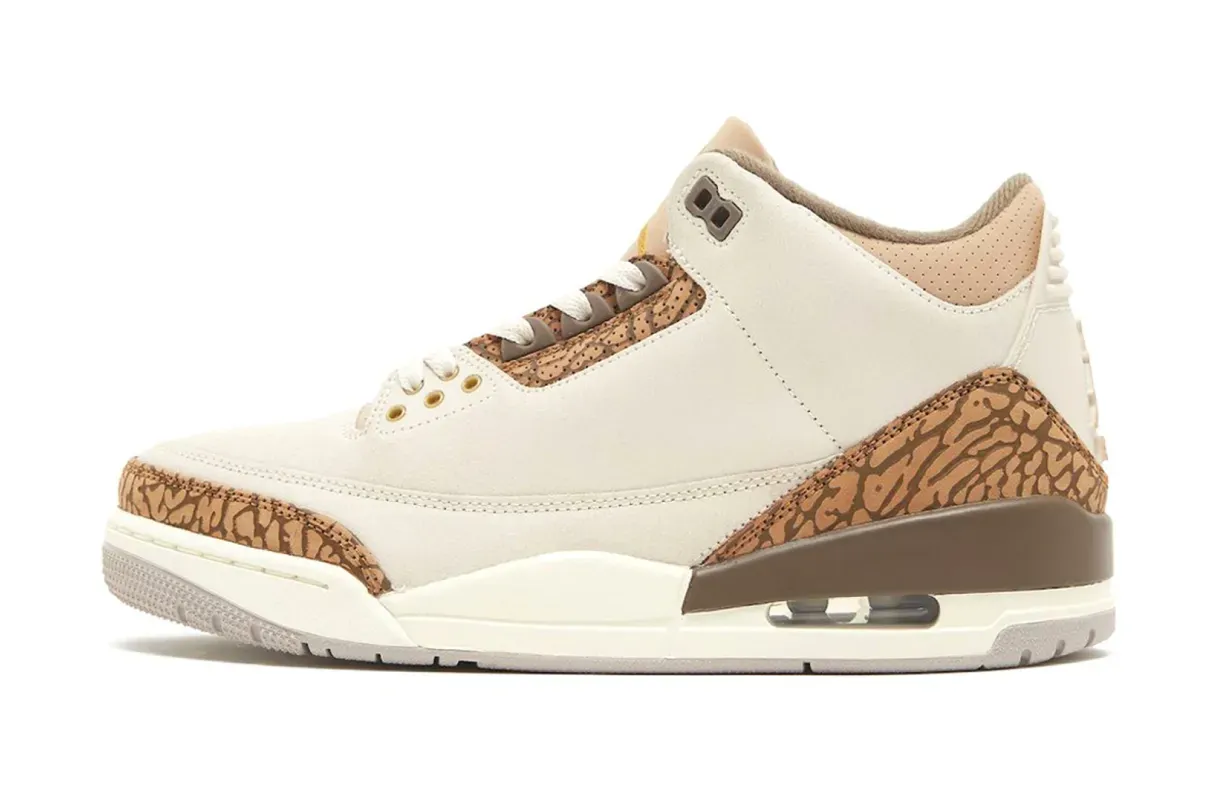 Air Jordan 3 Palomino CT8532-102