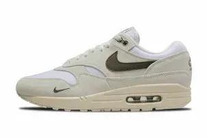 Nike Air Max 1 Sail Ironstone DZ4494-100