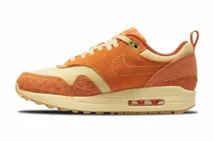 Nike Air Max 1 WMNS Somos Familia DZ5352-847