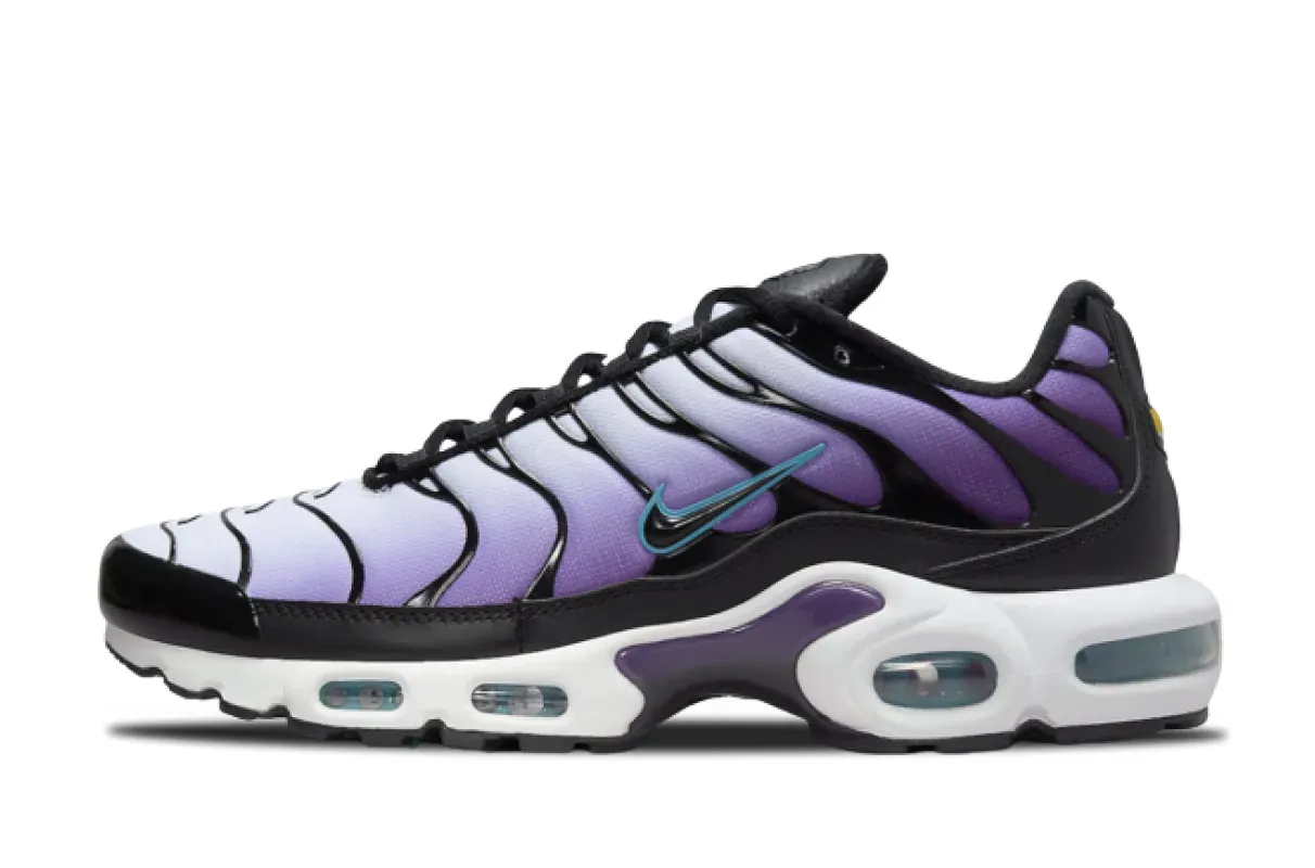 Nike Air Max Plus Reverse Grape FQ2415-500