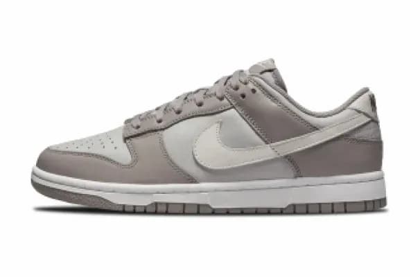Nike Dunk Low WMNS Light Grey FD0792-001