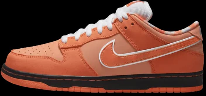 image-concepts-nike-sb-dunk-low-orange-lobster