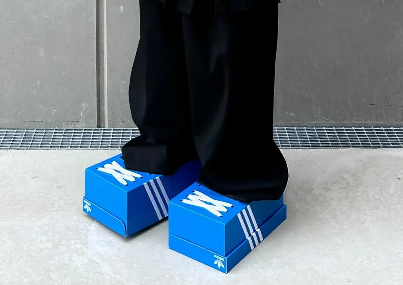 large visual non l adidas box shoe ne se portera pas
