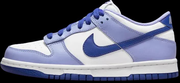 nike-dunk-low-blueberry.webp