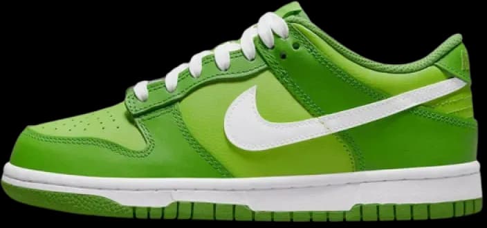 image-nike-dunk-low-gs-chlorophyll-dh9765-301