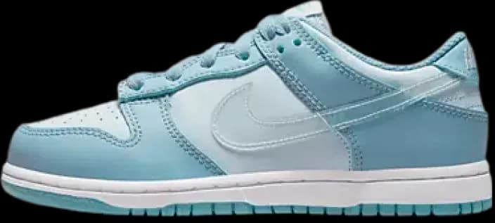 image-nike-dunk-low-ps-clear-swoosh-dh9756-401