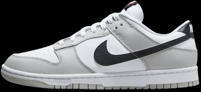 image-nike-dunk-low-retro-se-lottery-dr9654-001