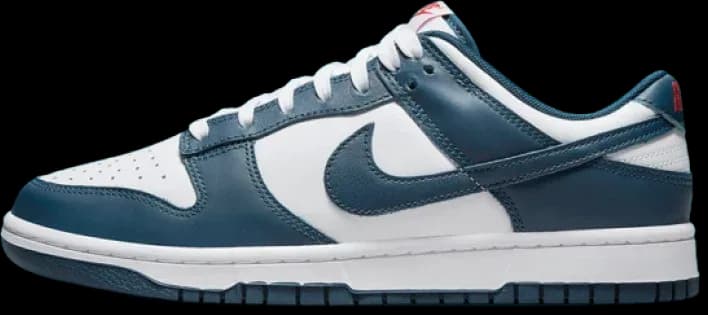 image-nike-dunk-low-valerian-blue-dd1391-400