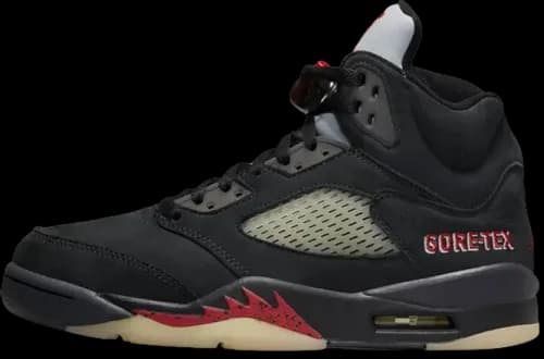 image de Air Jordan 5 Gore-Tex WMNS Off-Noir DR0092-001