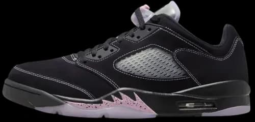 image de Air Jordan 5 Low “Dongdan” DX4355-015