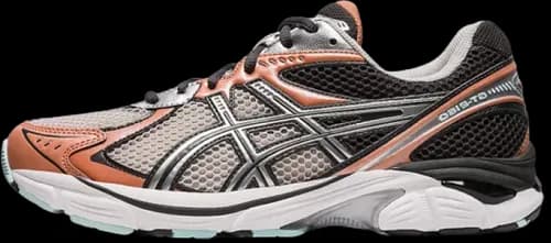 image de Asics GT-2160 "Brick Dust" 1203A275-021