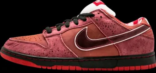 image de Concepts Nike SB Dunk Low Red Lobster 313170-661