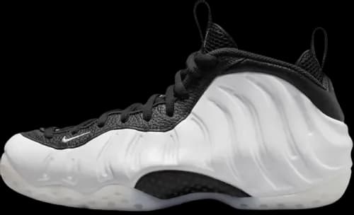 image de Nike Air Foamposite One Penny PE DV0815-100