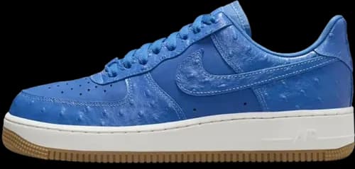 image de Nike Air Force 1 Low Blue Ostrich Dz2708-400