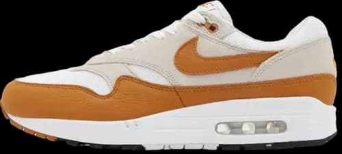 image de Nike Air Max 1 Bronze DZ4549-110
