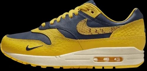 image de Nike Air Max 1 CO.JP Michigan FJ5479-410