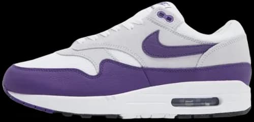 image de Nike Air Max 1 Field Purple Dz4549 101