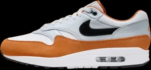 image de Nike Air Max 1 Monarch Fn6952-101
