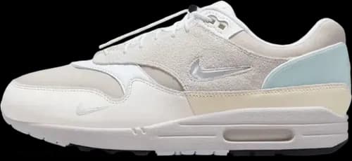 image de Nike Air Max 1 Premium Hangul Day Dz5317 121