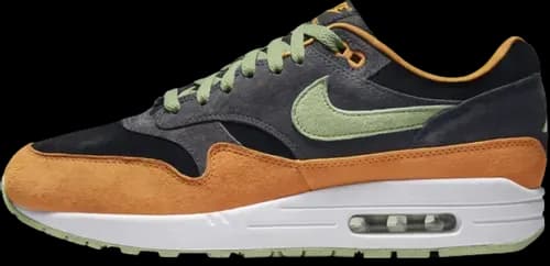 image de Nike Air Max 1 PRM Duck Anthracite DZ0482-001