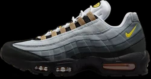 image de Nike Air Max 95 Icons DX4236-100