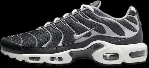 image de Nike Air Max Plus Greyscale Cool Grey DZ2655-001