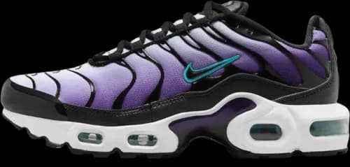 image de Nike Air Max Plus GS Black Grape FQ2412-500