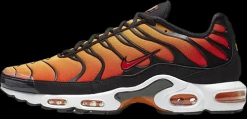 image de Nike Air Max Plus Pimento BQ4629-001