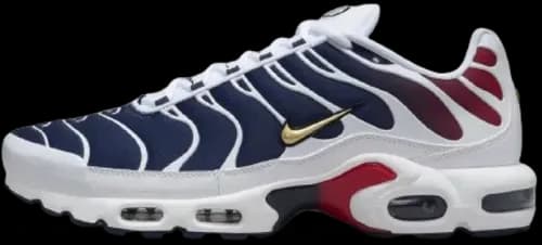 image de Nike Air Max Plus Psg Fz4776 100