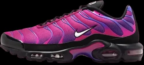image de Nike Air Max Plus Rebellious Air 604133 610