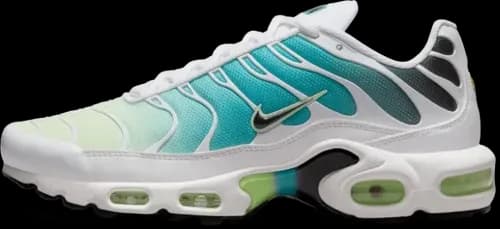 image de Nike Air Max Plus Wmns Dusty Cactus Dz3670-102