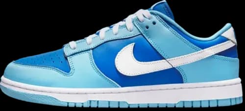 image de Nike Dunk Low Argon DM0121-400
