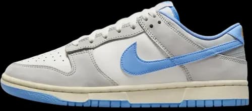 image de Nike Dunk Low Athletic Department FN7488-133