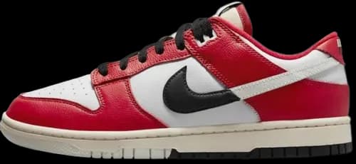 image de Nike Dunk Low Chicago Split DZ2536-600