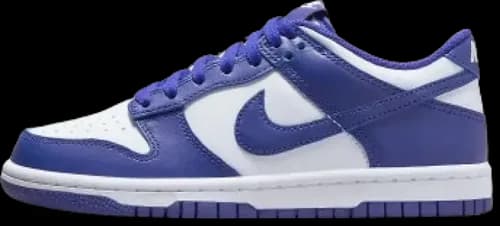 image de Nike Dunk Low Concord Gs FB9109-106