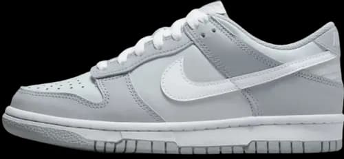 image de Nike Dunk Low GS Two Tone Grey DH9765-001