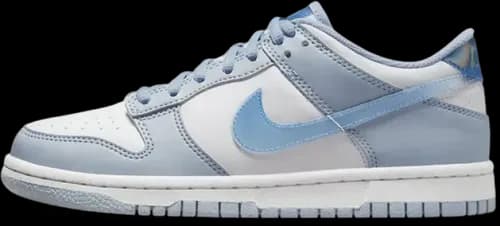 image de Nike Dunk Low Next Nature GS Hologram FJ4668-400