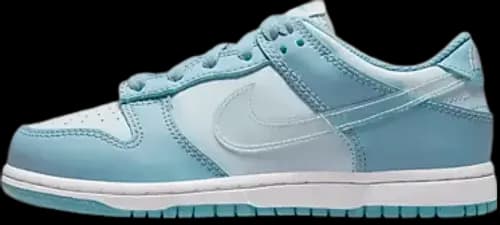 image de Nike Dunk Low PS Clear Swoosh DH9756-401