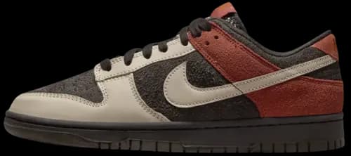 image de Nike Dunk Low Red Panda FV0395-200