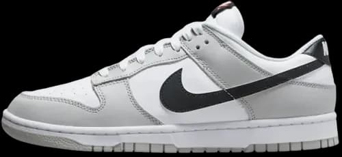 image de Nike Dunk Low Retro SE Lottery DR9654-001