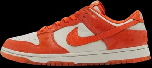 image de Nike Dunk Low Syracuse