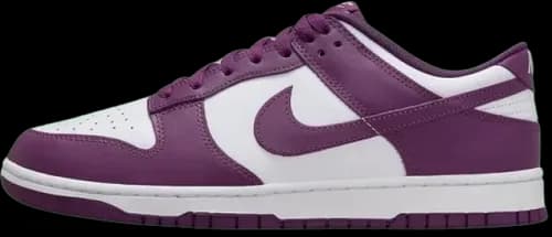 image de Nike Dunk Low Viotech Dv0833 107