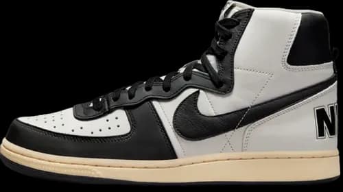 image de Nike Terminator High PRM Panda FD0394-030