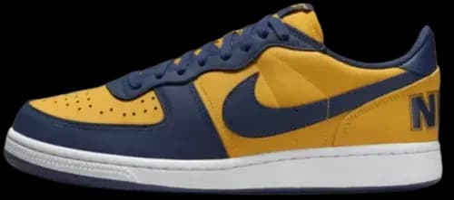 image de Nike Terminator Low “Michigan” FJ4206-700