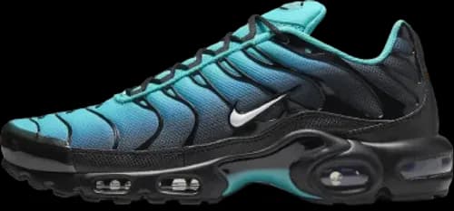 image de Nike Tn Air Max Plus "Light Retro" DM0032-401