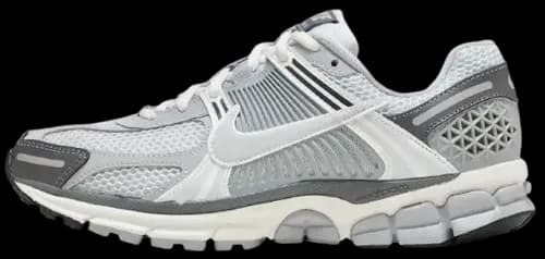 image de Nike Zoom Vomero 5 Wolf Grey Fd9919 001