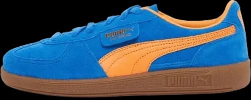 image de Puma Palermo Ultra Blue 396463-17