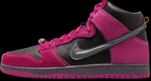 image de Run The Jewel Nike SB Dunk High DX4356-600